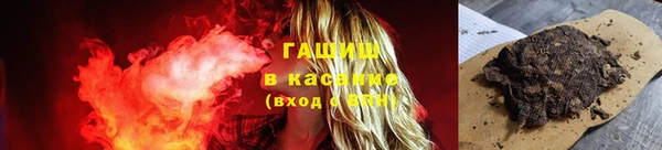 дмт Новозыбков
