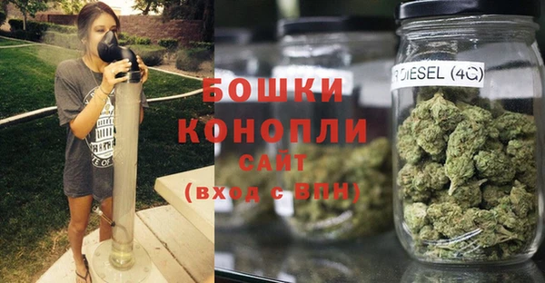дмт Новозыбков