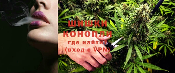 трава Новокубанск