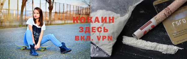 дмт Новозыбков