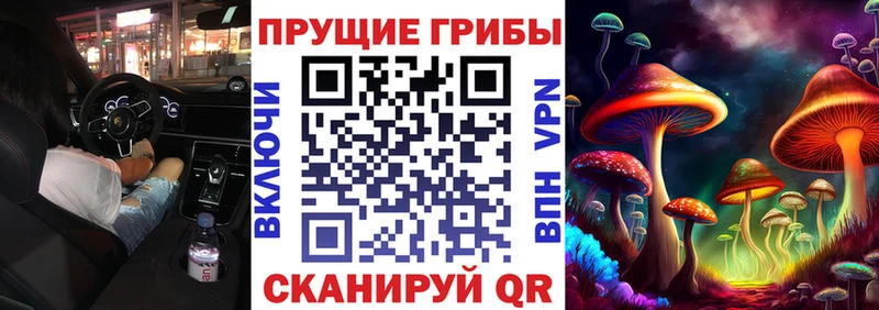 kraken ссылки  Владимир  Псилоцибиновые грибы MAGIC MUSHROOMS  цены  